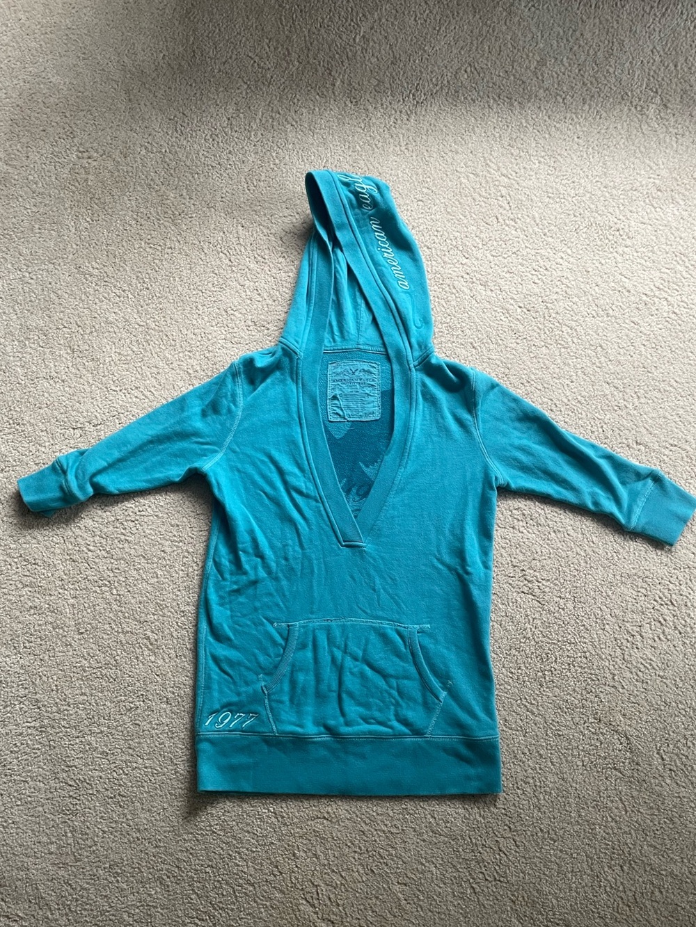 American Eagle Outfitters Teal Deep V-Neck Hooded Sweater